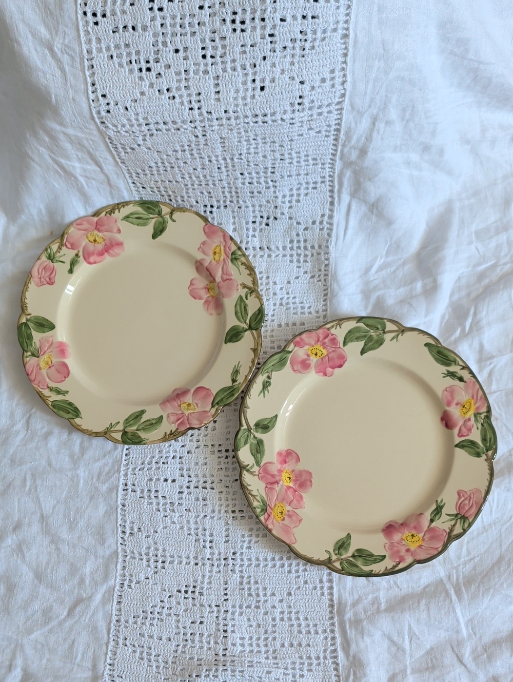 Fransican Earthenware Dinner Plates Set of 2